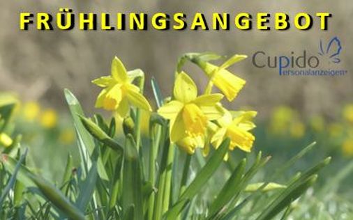 Frühlingsangebote1